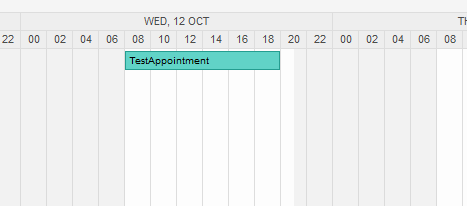 Appointment display in calendar overview screen